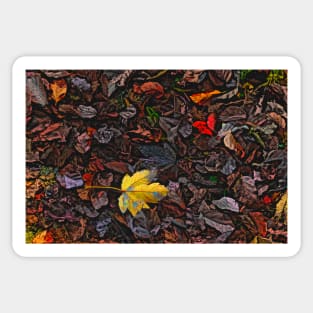 Autumn Leaves Sticker